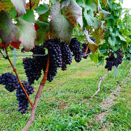 Winery Hotel And Condominium Hitohana Фурано Екстер'єр фото